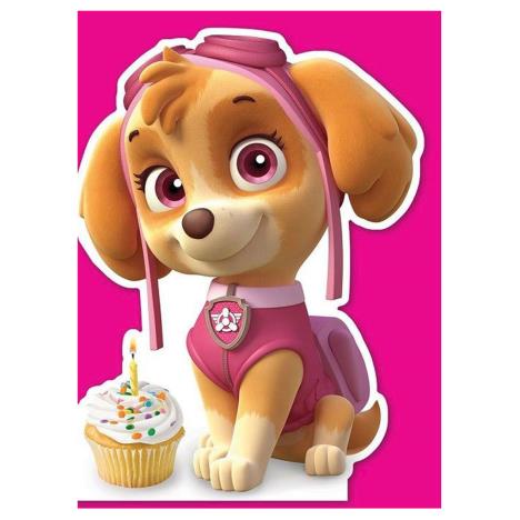 Paw Patrol Skye Shaped Birthday Card £1.75